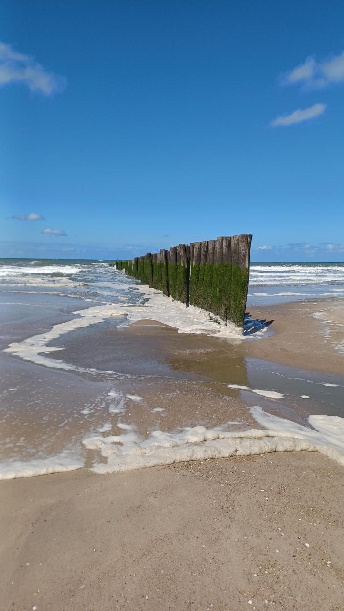 La Carte Postale Bed & Breakfast Oye-Plage Exterior photo